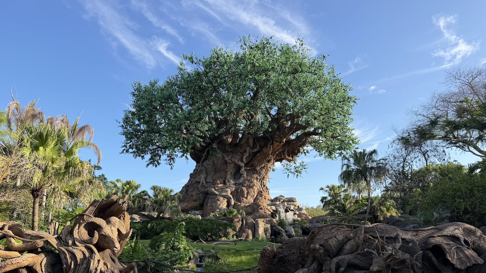 Tree of Life at Animal Kingdom, Walt Disney World