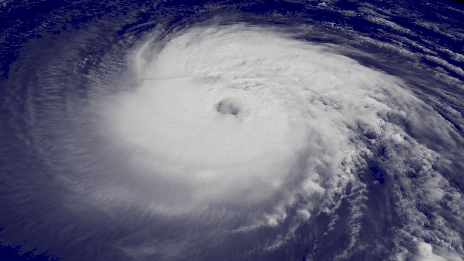 What Actually Happens to Your Cruise When a Hurricane Threatens in 2026