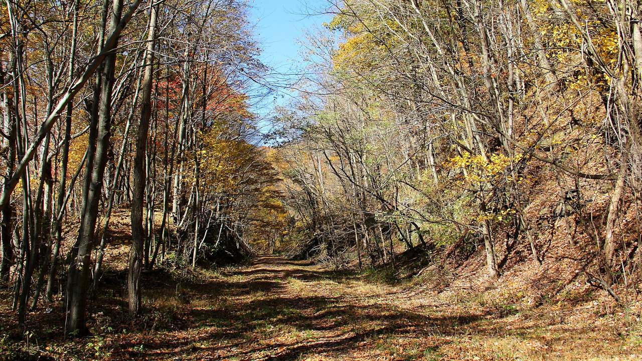 Allegheny Portage Railroad National Historic Site primary landscape