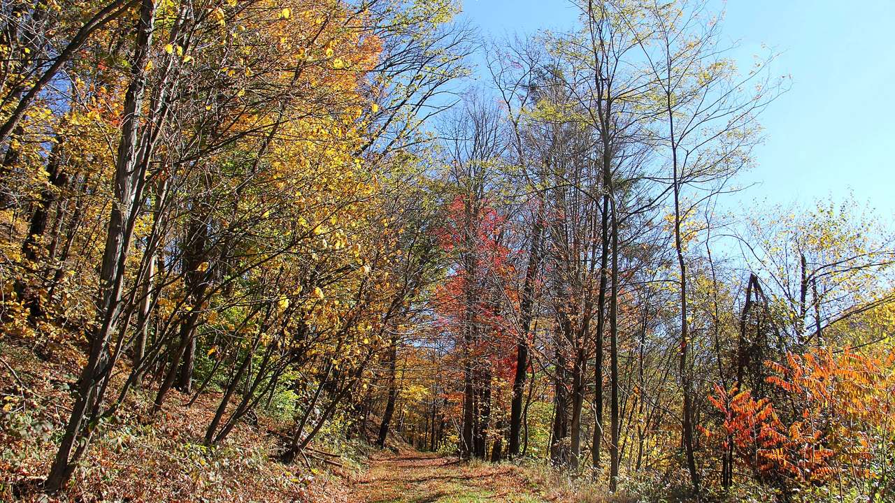 Visitor timing context at Allegheny Portage Railroad National Historic Site