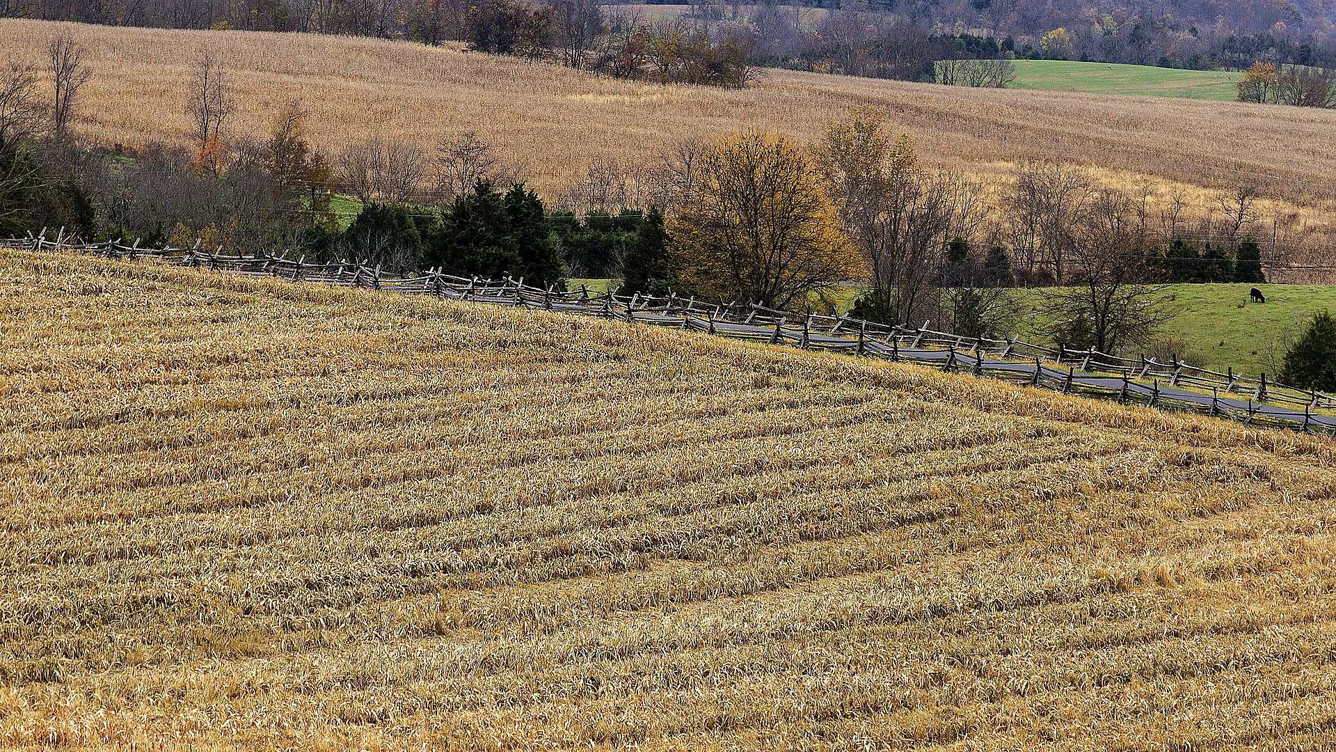 Visitor timing context at Antietam National Battlefield