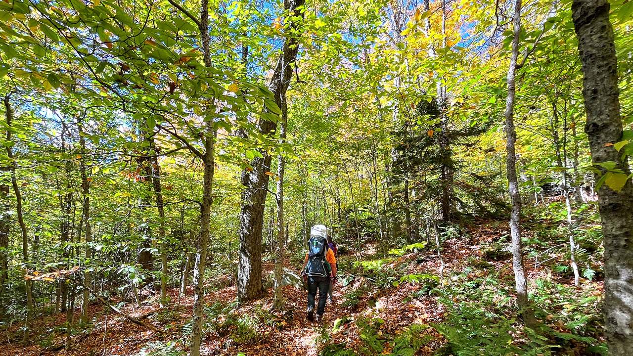 Appalachian ridge view