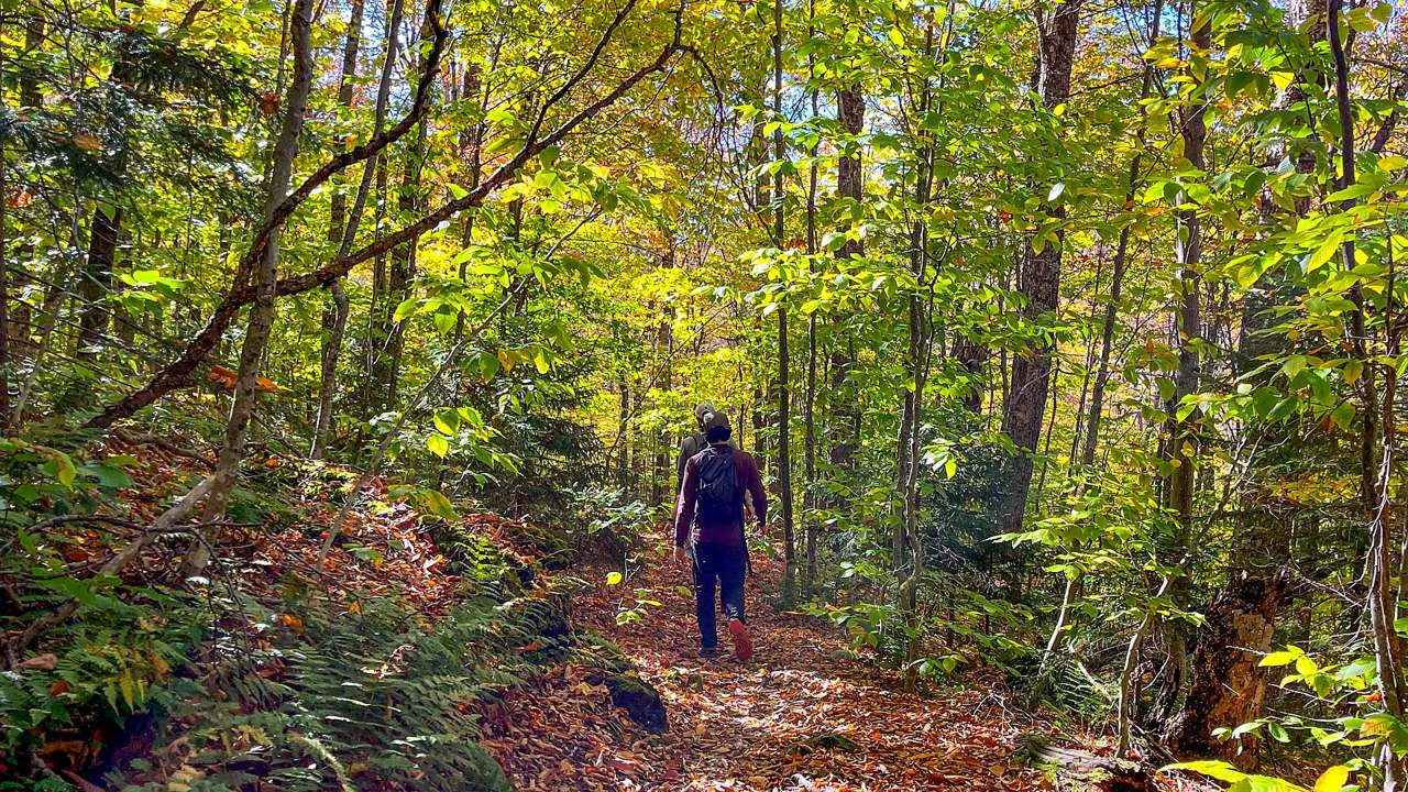 Appalachian National Scenic Trail primary landscape