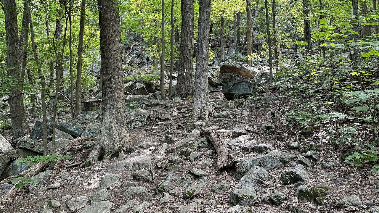 Safety context at Appalachian National Scenic Trail