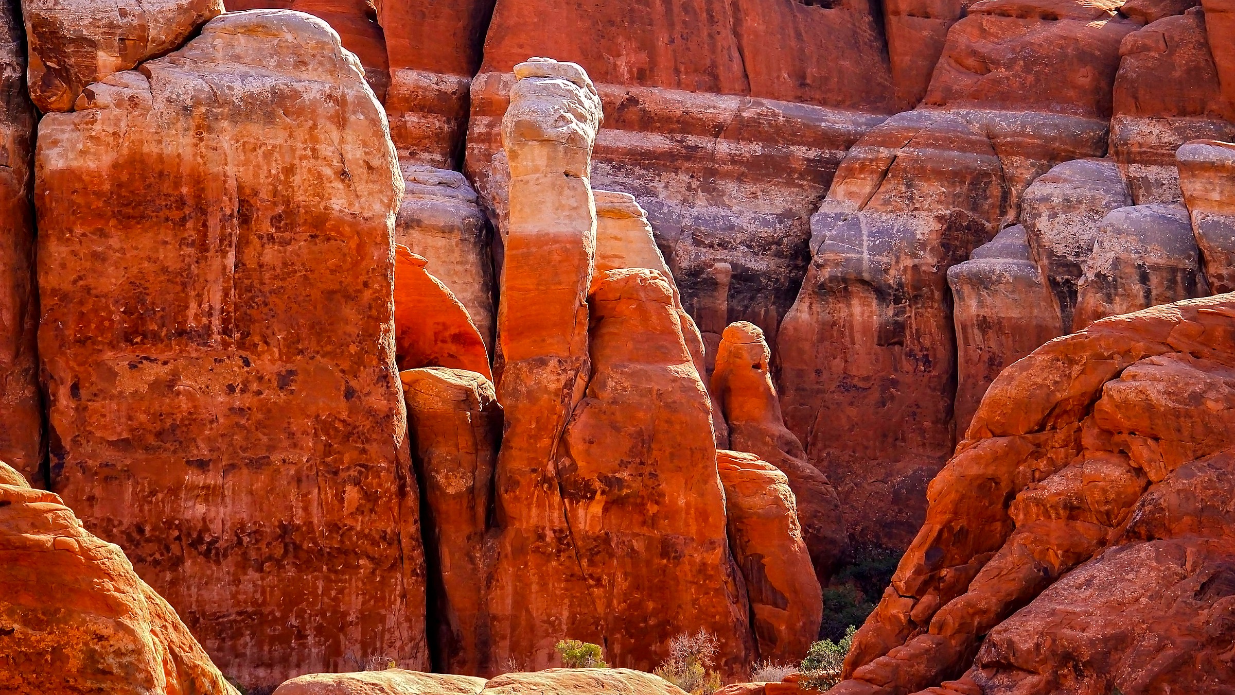 Landscape view in Arches National Park