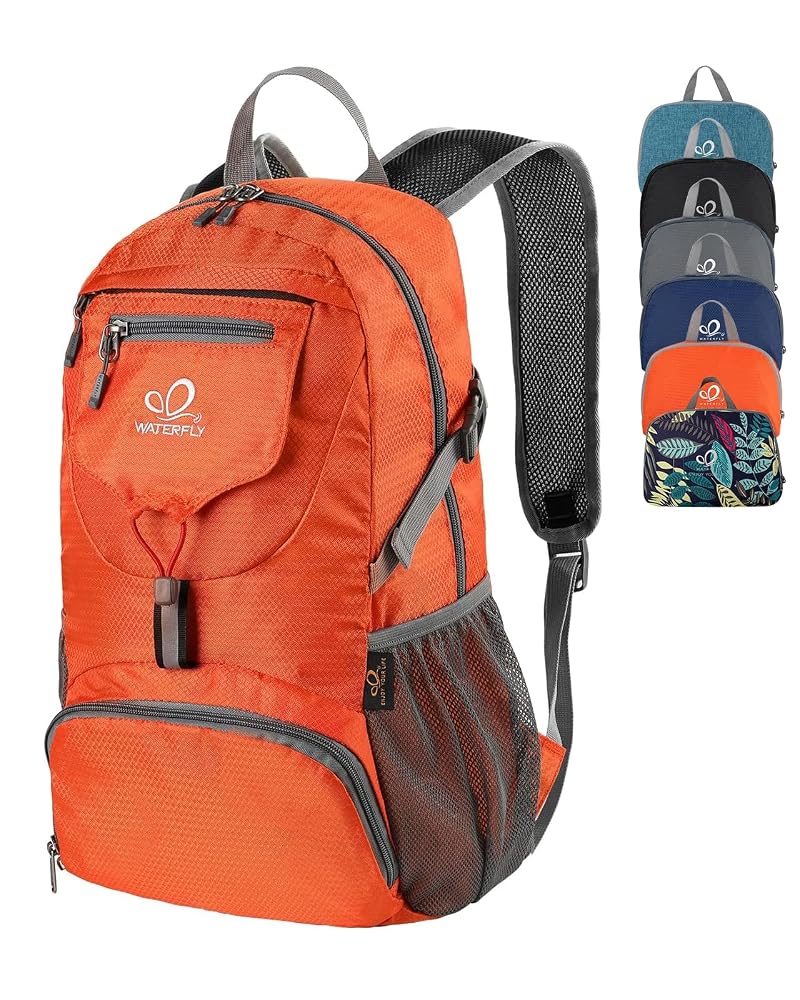 Best Park Daypacks