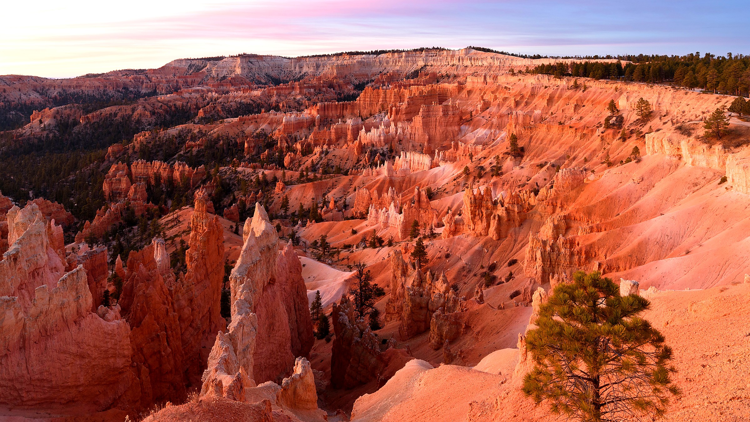 Detail view in Bryce Canyon National Park