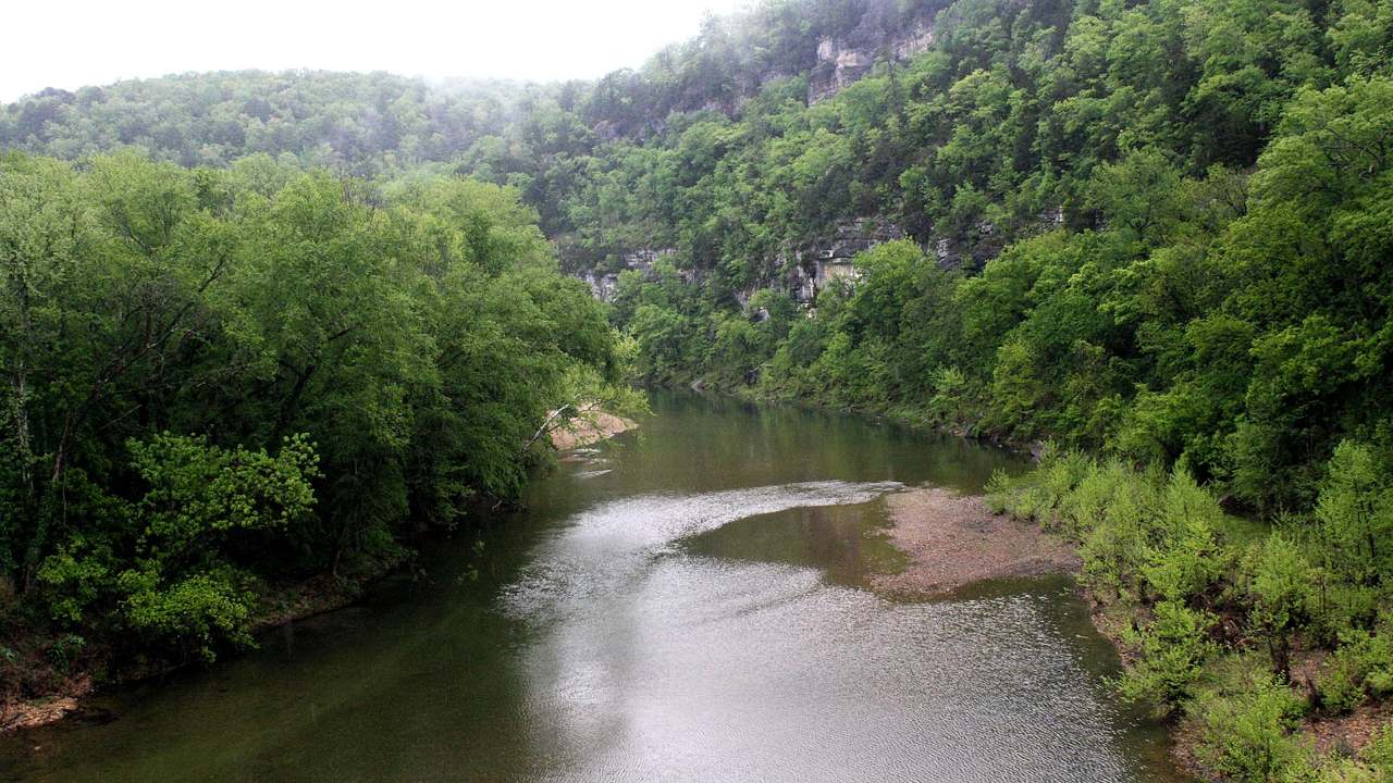 Wooded bluff trail