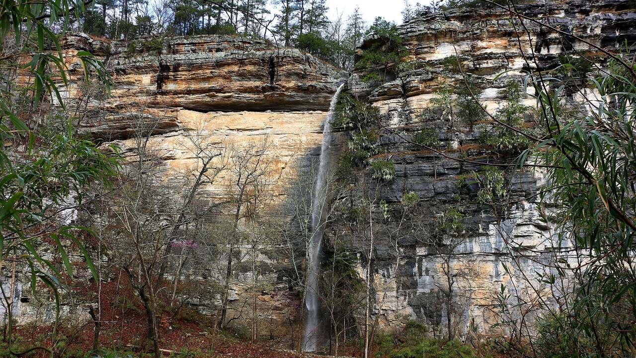 Buffalo National River primary landscape