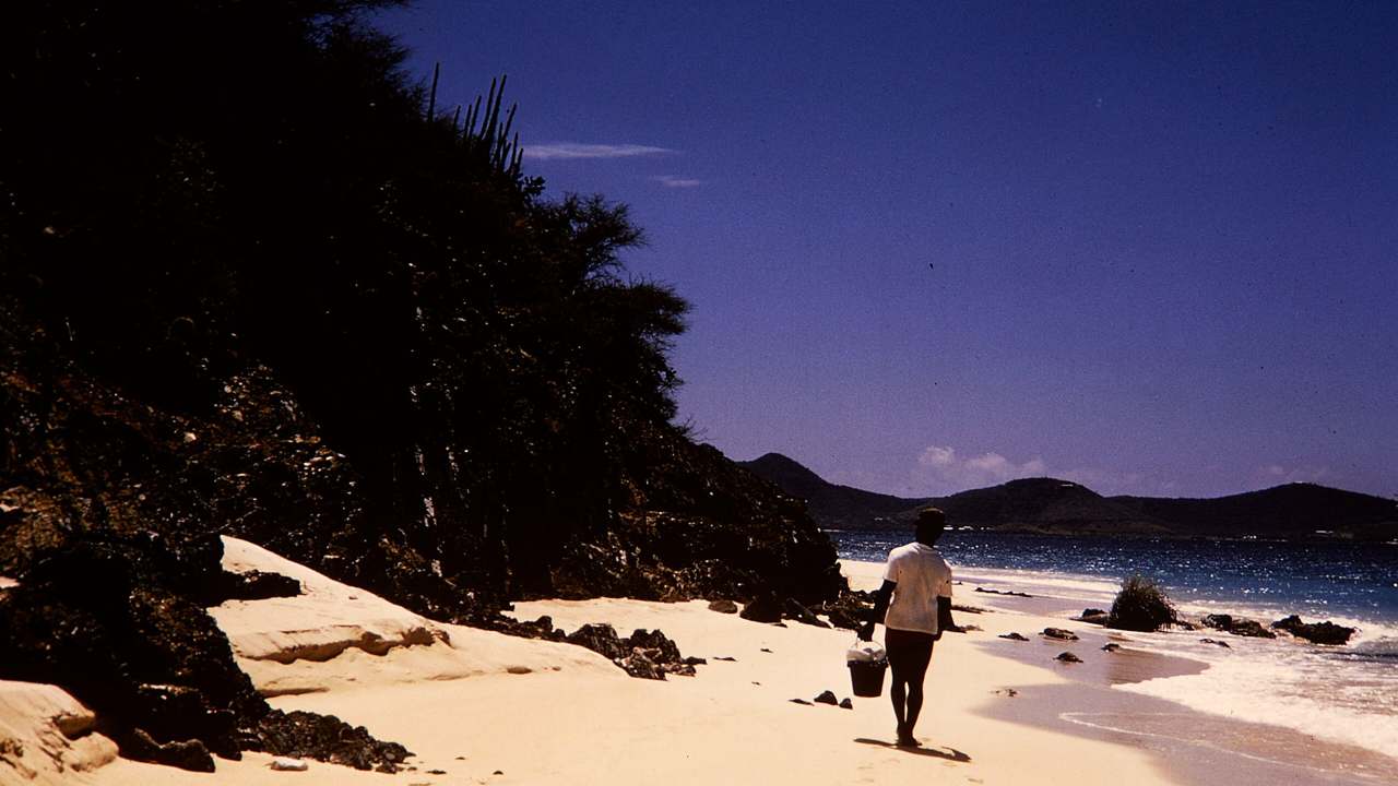 Buck Island Reef National Monument landscape