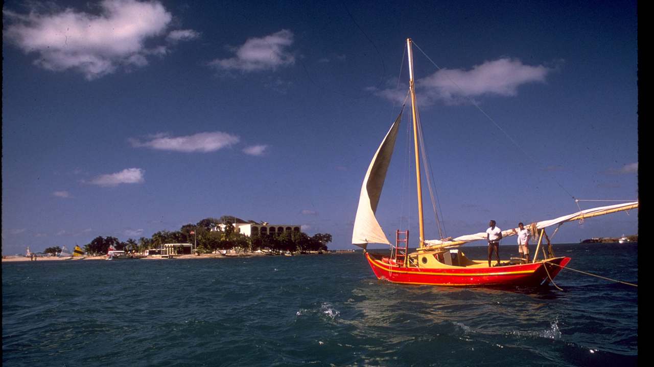 Visitor timing context at Buck Island Reef National Monument