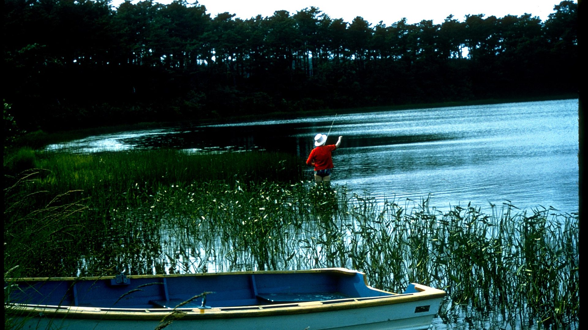 Safety context at Cape Cod National Seashore