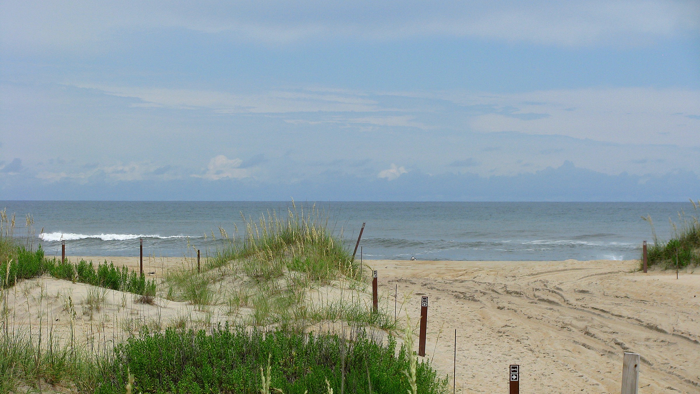 Dune grass and Atlantic surf on the Outer Banks
