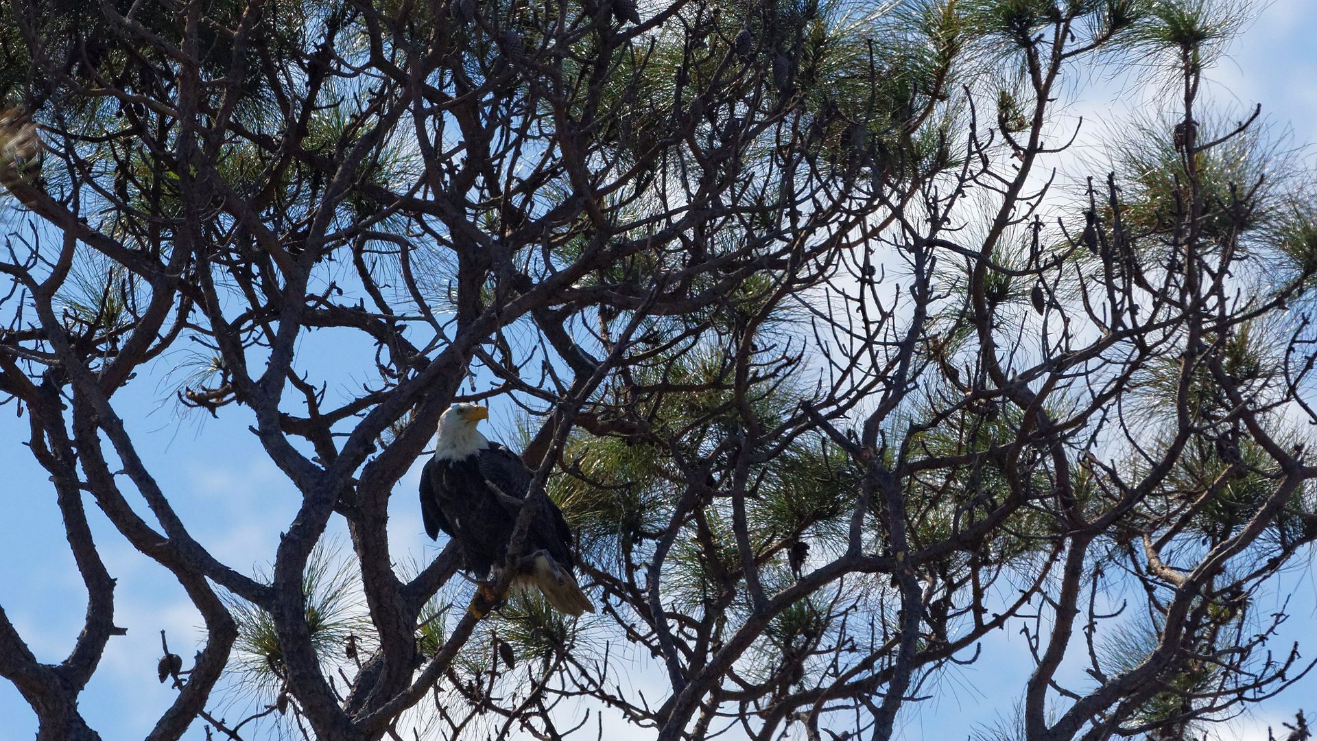 Detail feature at Canaveral National Seashore