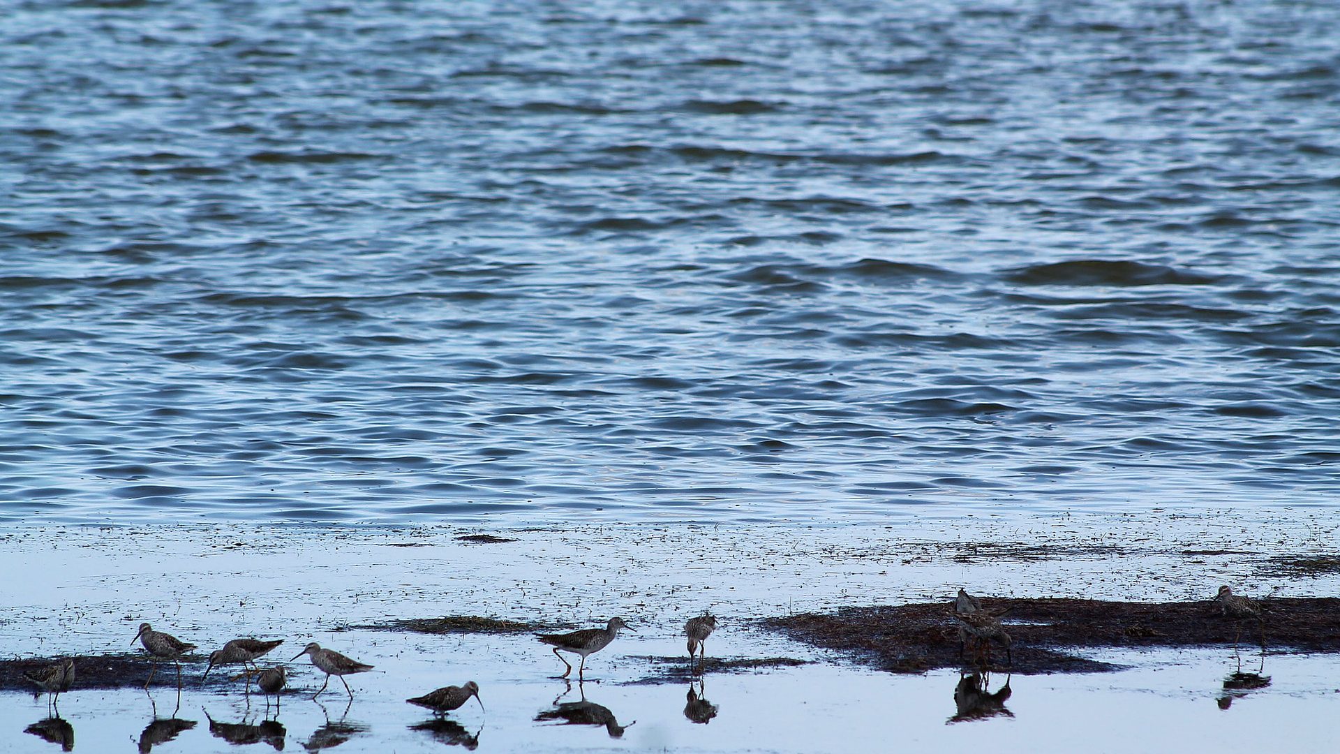 Wider setting around Canaveral National Seashore