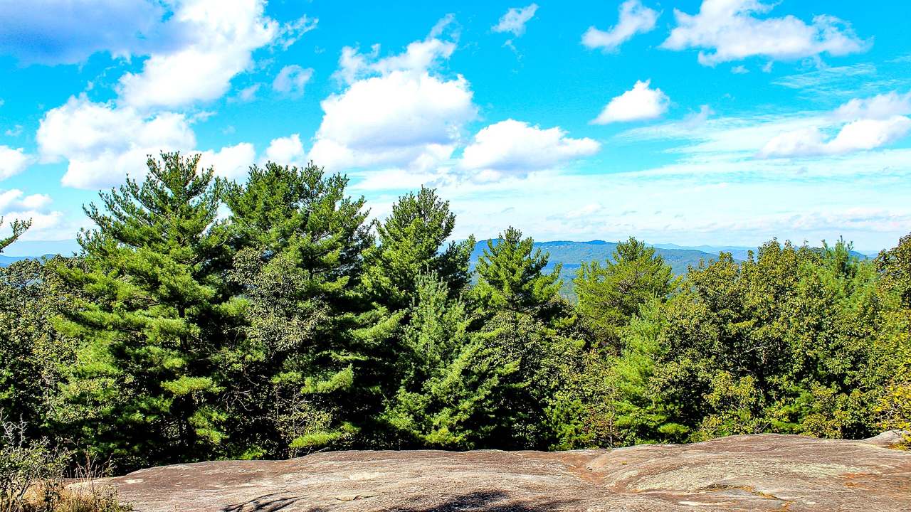 Carl Sandburg Home National Historic Site primary landscape