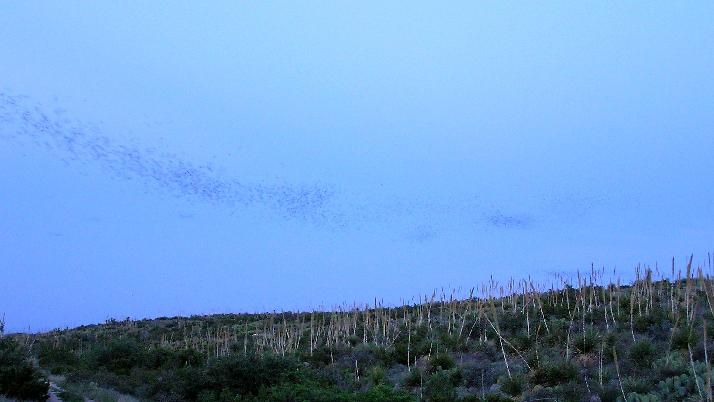 Trail and landscape conditions in Carlsbad Caverns National Park