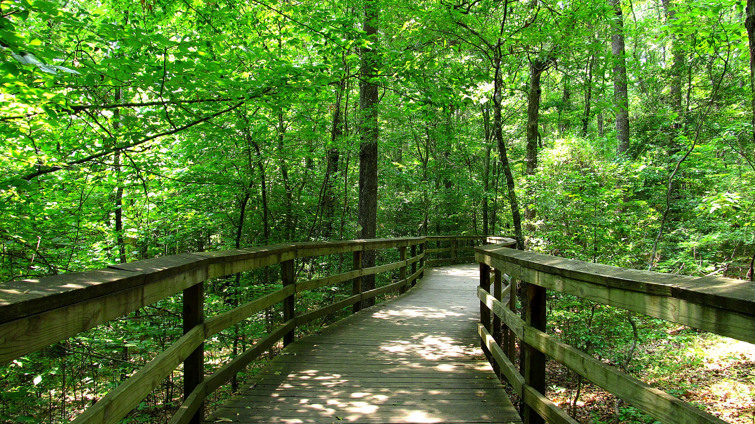 Congaree National Park in South Carolina