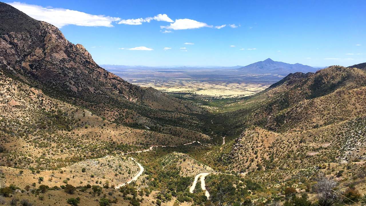 Desert scrub trail