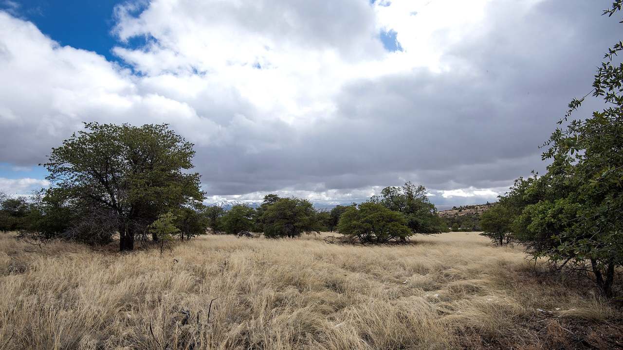 Coronado National Memorial landscape