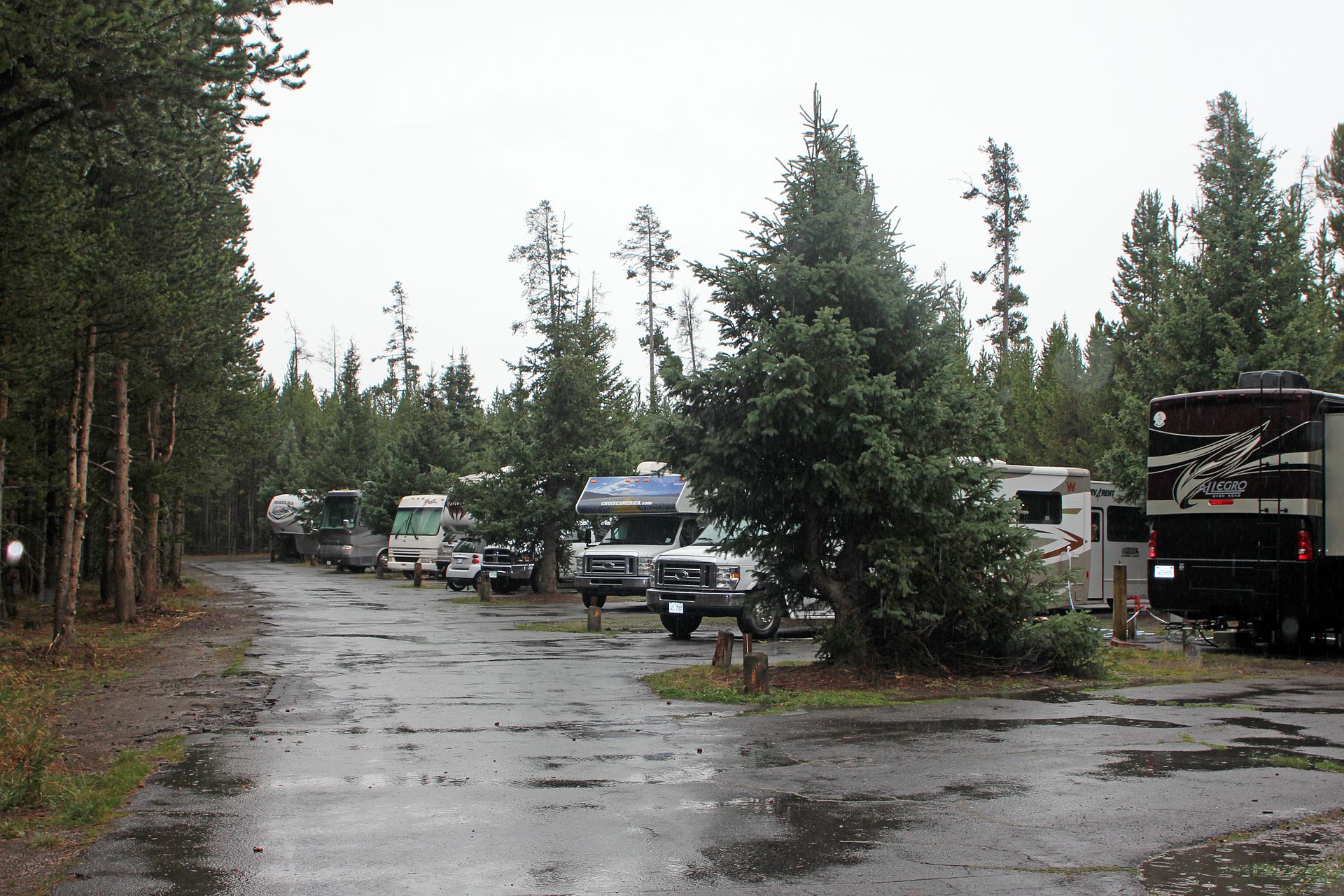 RVs parked at Fishing Bridge RV Park in Yellowstone National Park