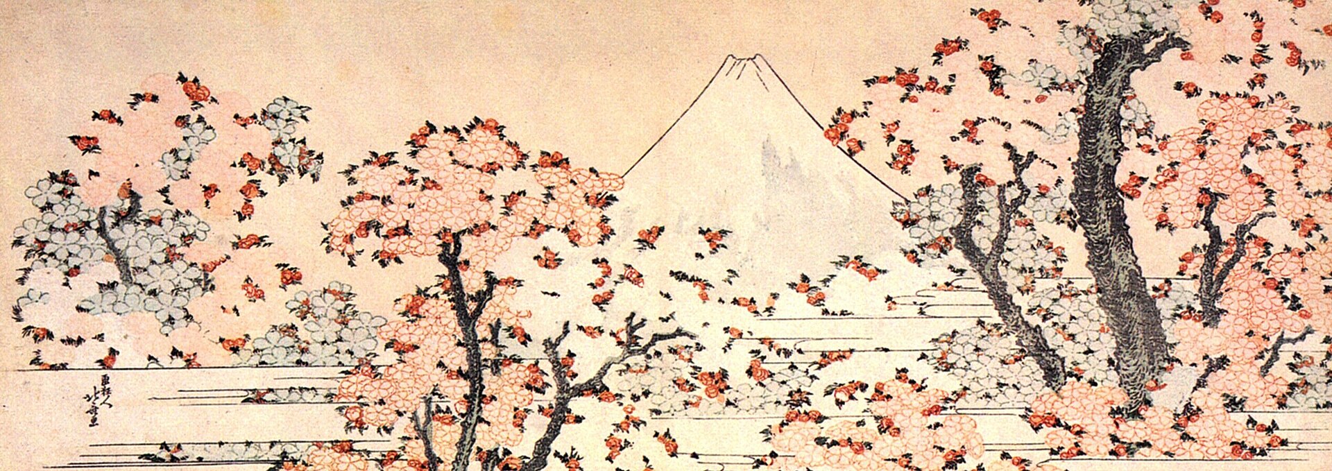 Mount Fuji, the backdrop of Fuji-Q Highland