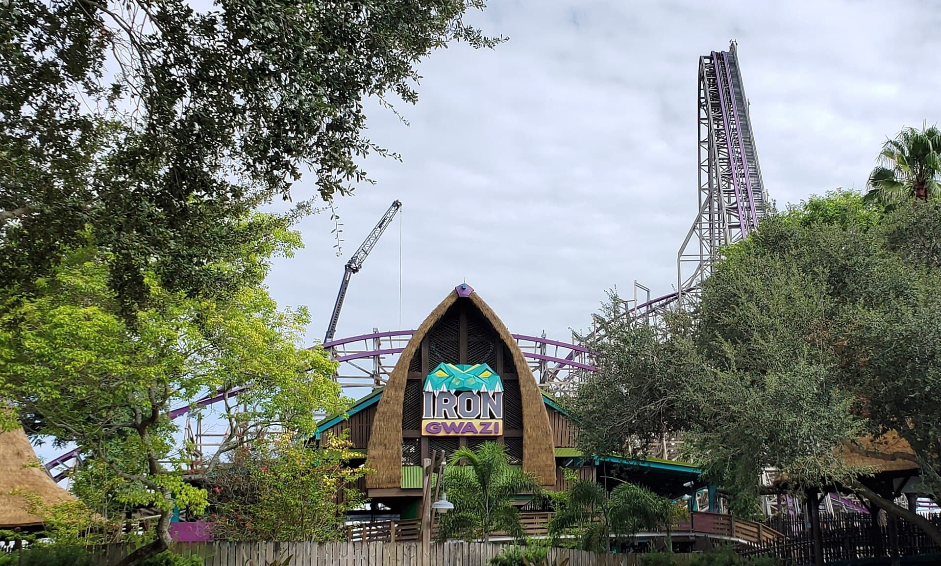 Iron Gwazi coaster at Busch Gardens Tampa
