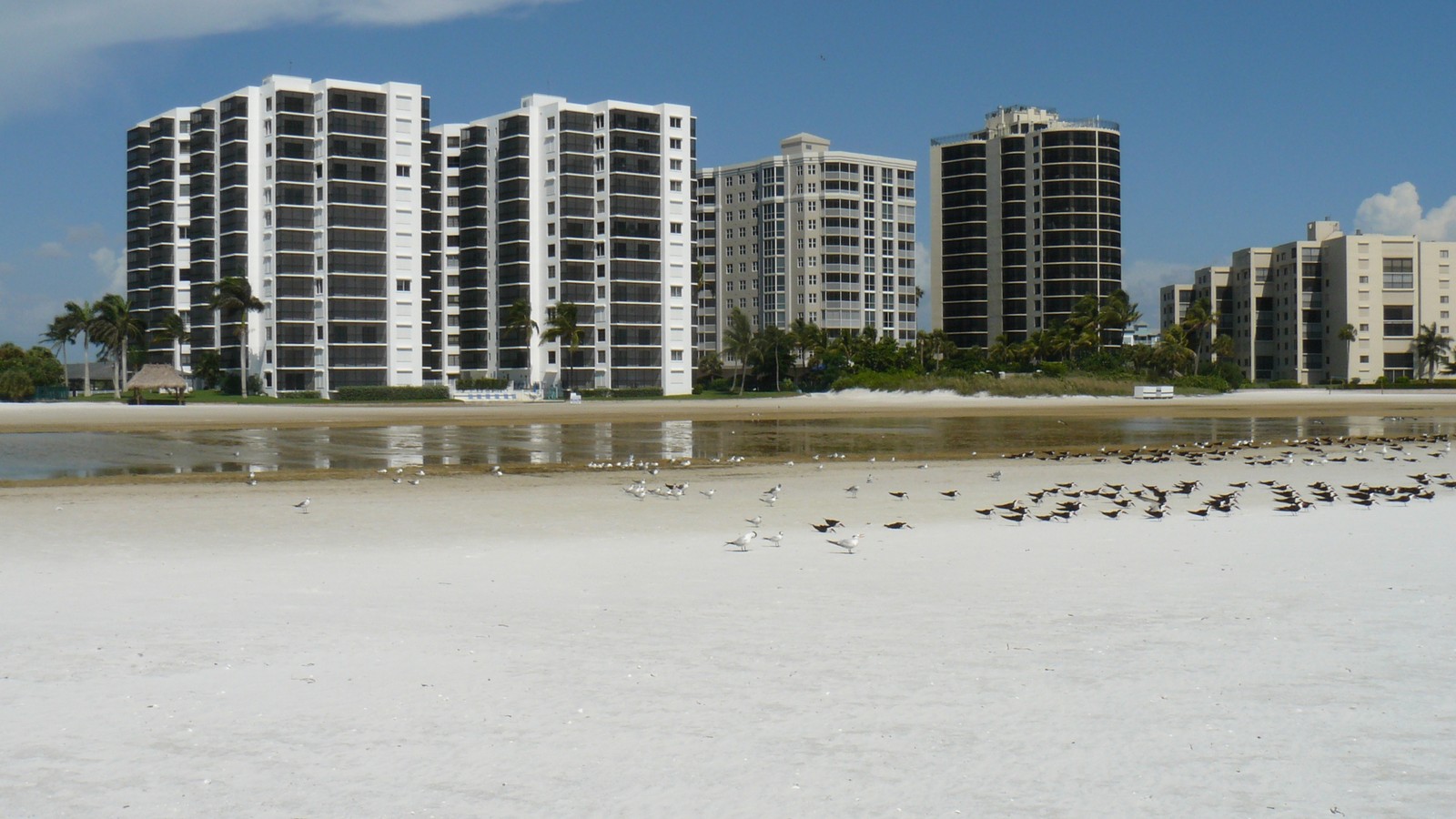 Fort Myers Beach shoreline and Gulf water under bright sky