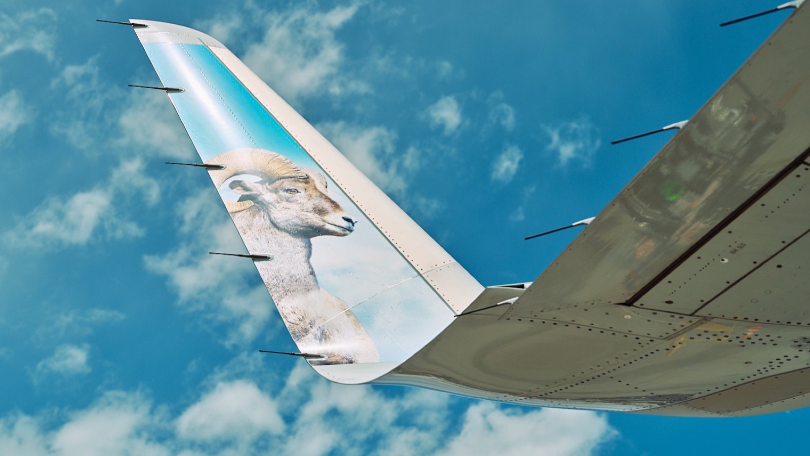Frontier Airlines aircraft tail and wing against a blue sky