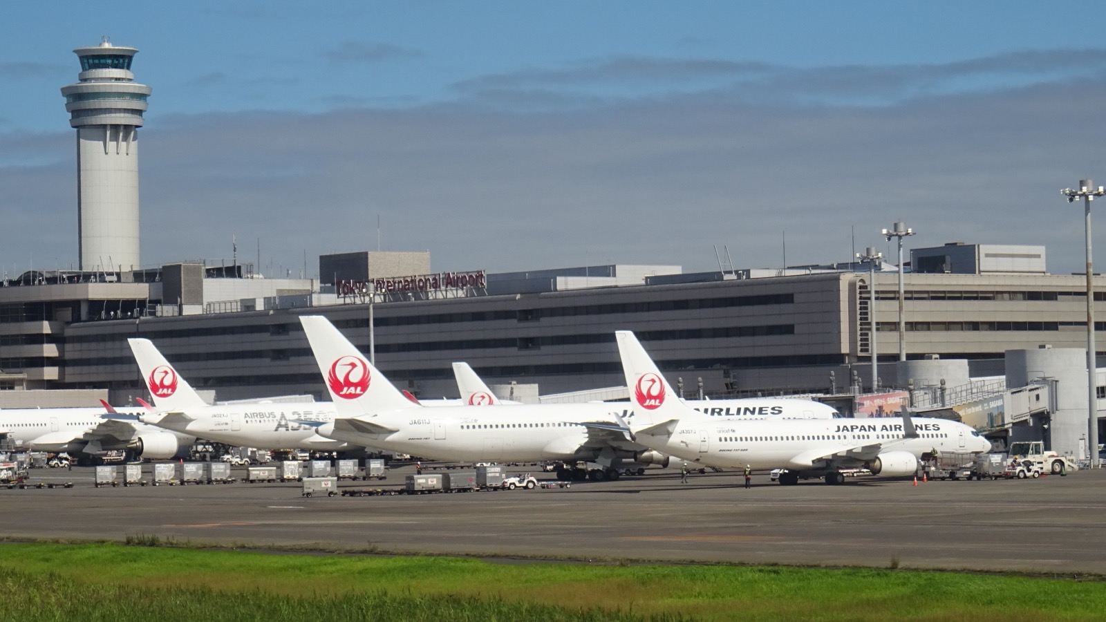 Japan Airlines aircraft parked at Haneda Airport Terminal 1 in Tokyo