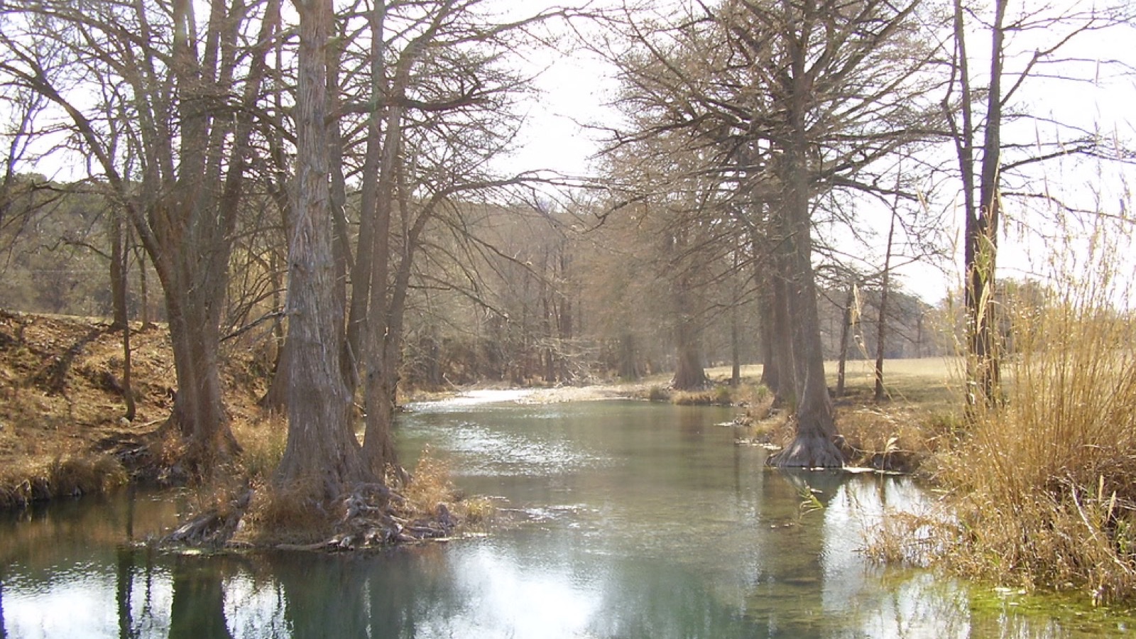 Guadalupe River flowing between tree lined banks near Hunt, Texas