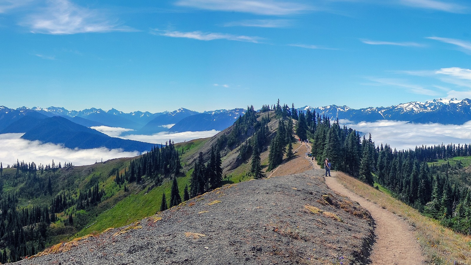 Hikers on a trail at Hurricane Ridge in Olympic National Park with mountain peaks and clouds below