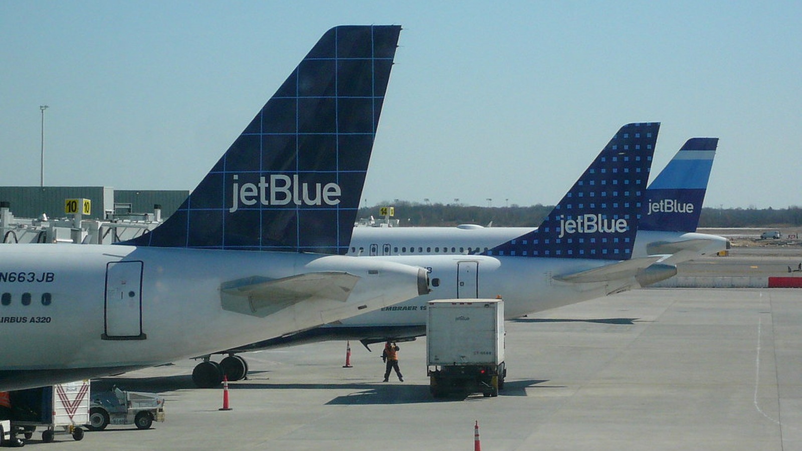 JetBlue aircraft tails at a terminal gate area