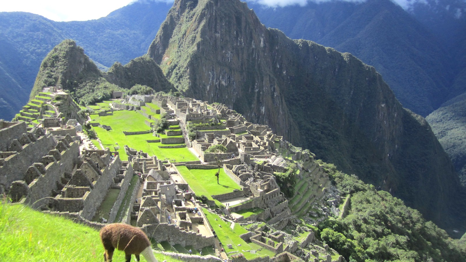 Midday view of Machu Picchu stone terraces and peaks in Peru