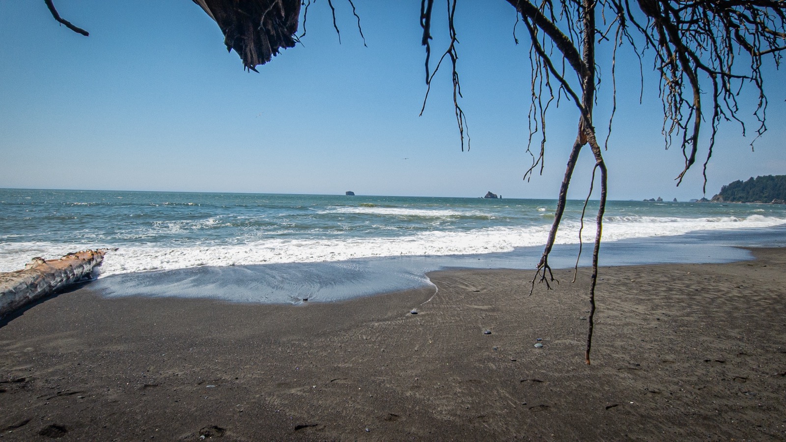 Waves and driftwood on Rialto Beach in Olympic National Park