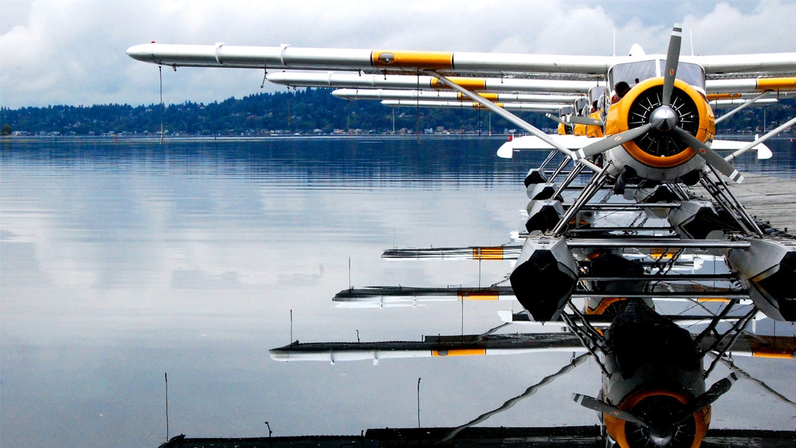 Kenmore Air yellow and white seaplanes docked on calm water under a cloudy sky