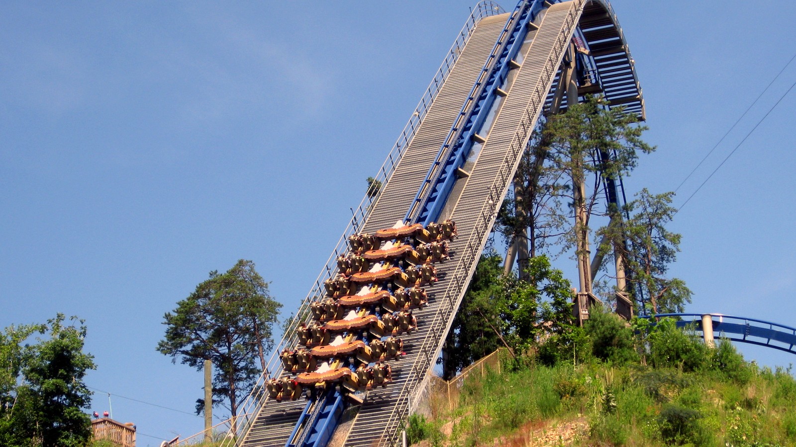 Wild Eagle roller coaster blue track rising above the Dollywood skyline under a bright sky