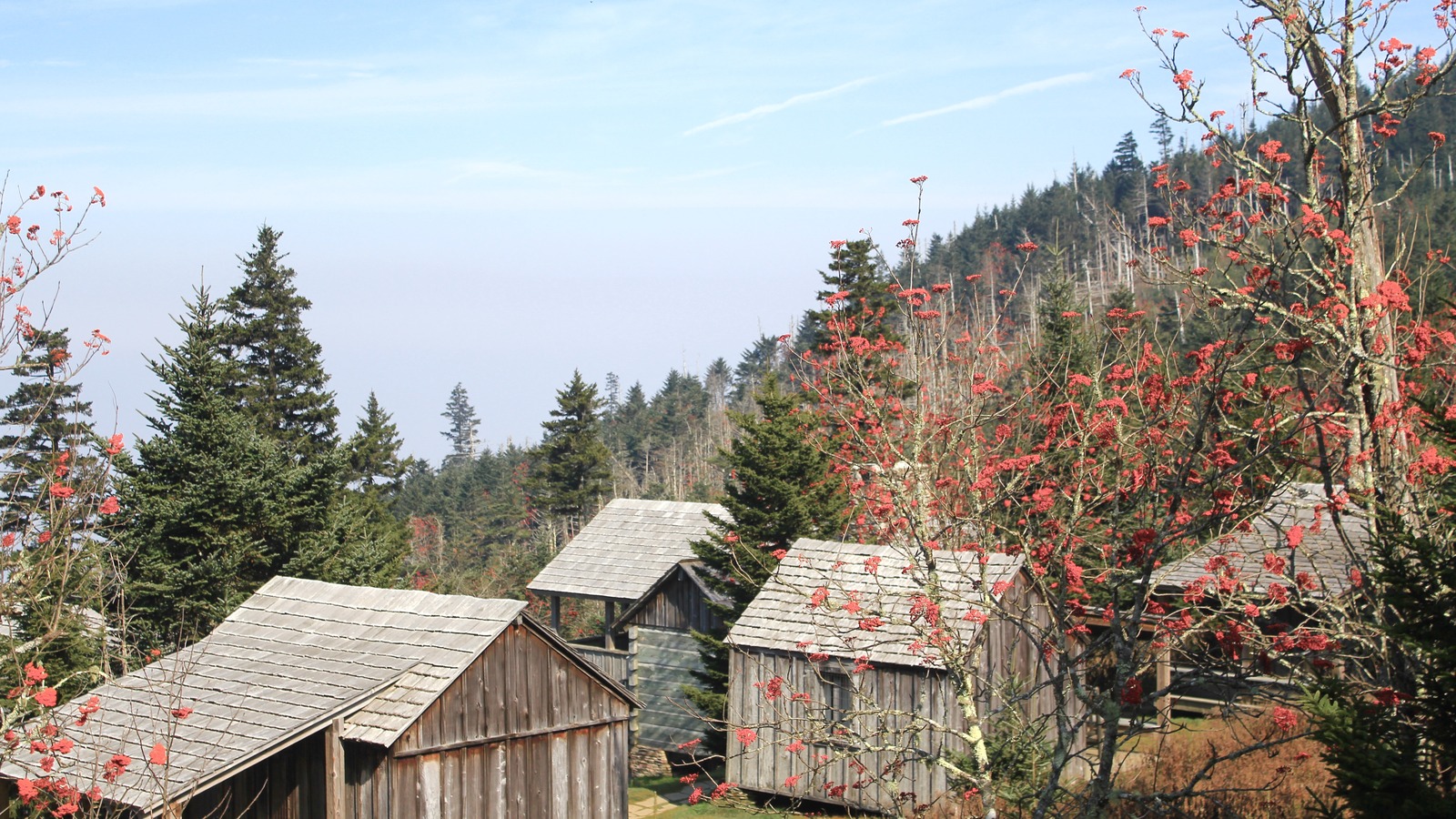 Wooden cabin buildings of LeConte Lodge on Mount Le Conte in Great Smoky Mountains National Park