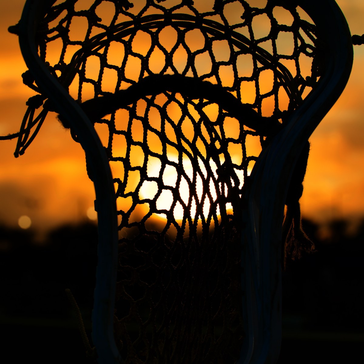 Lacrosse stick head against a sunset