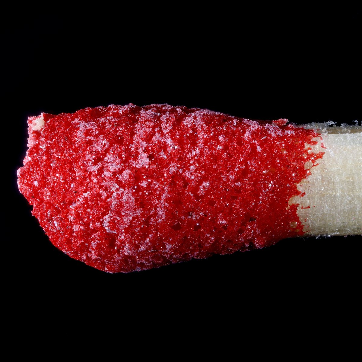 Red-tipped safety matches on a black background