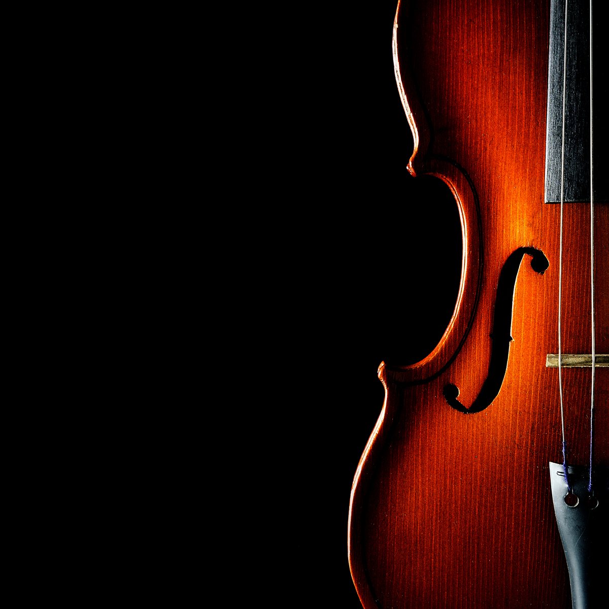 Violin on a black background