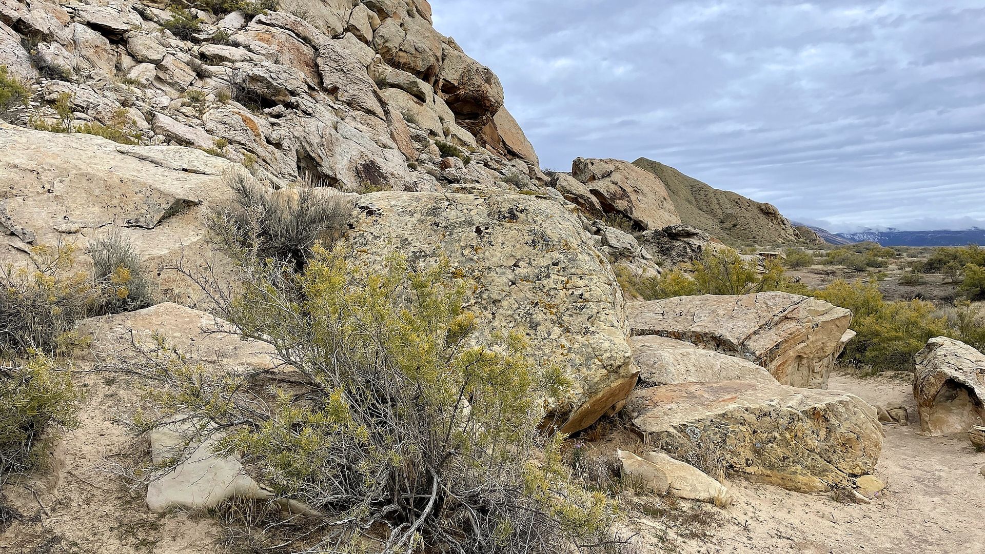 Dinosaur National Monument landscape