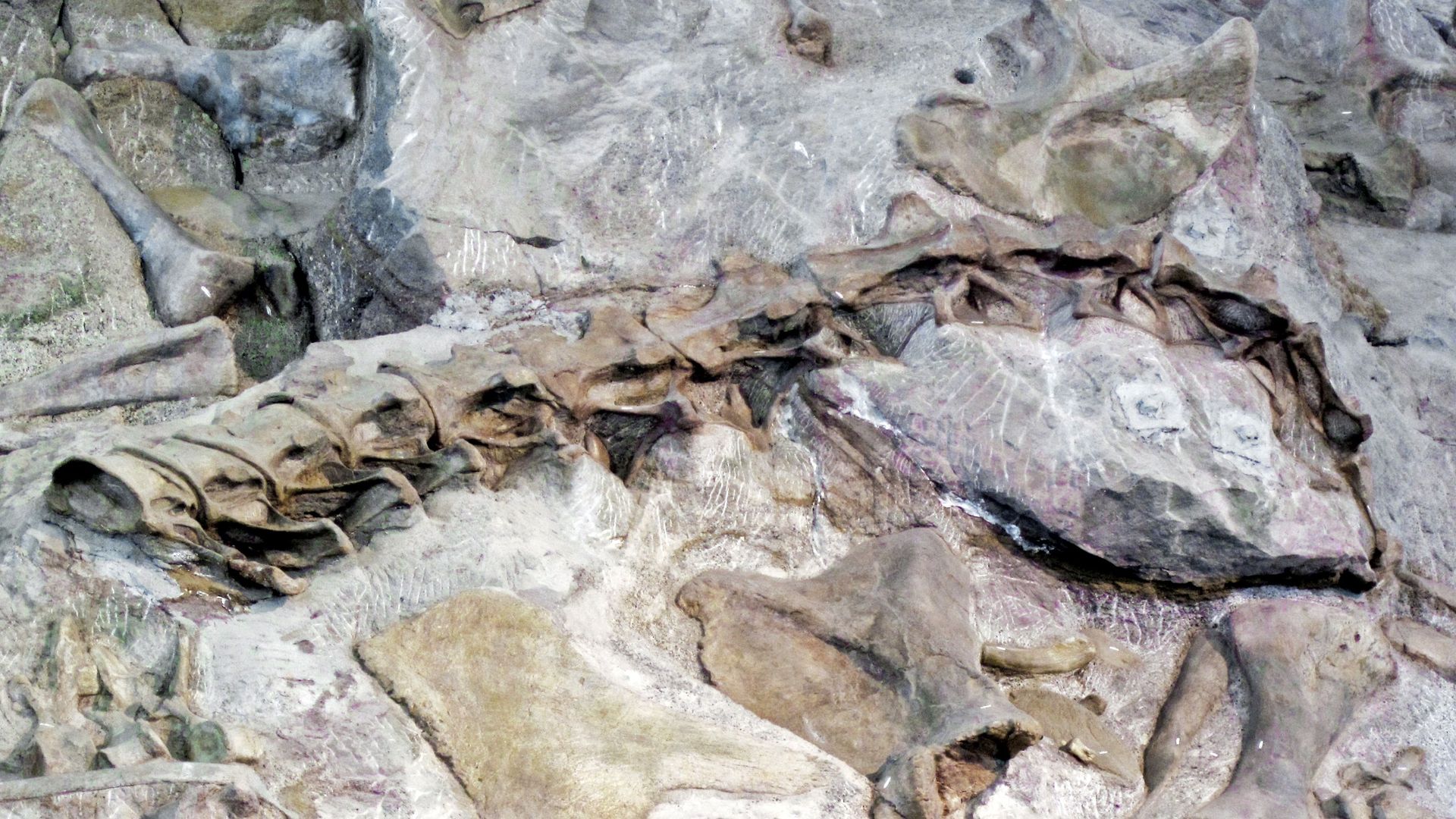 Safety context at Dinosaur National Monument