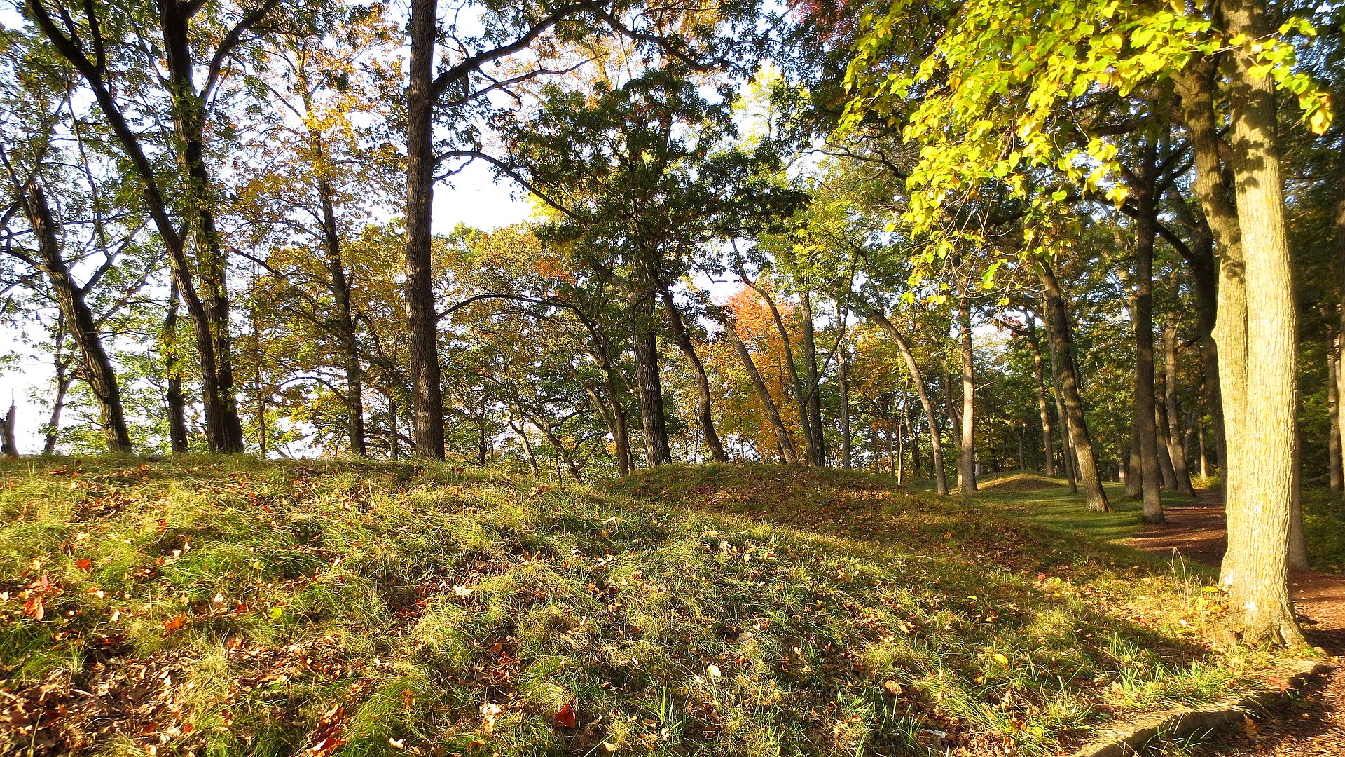 River bluff overlook