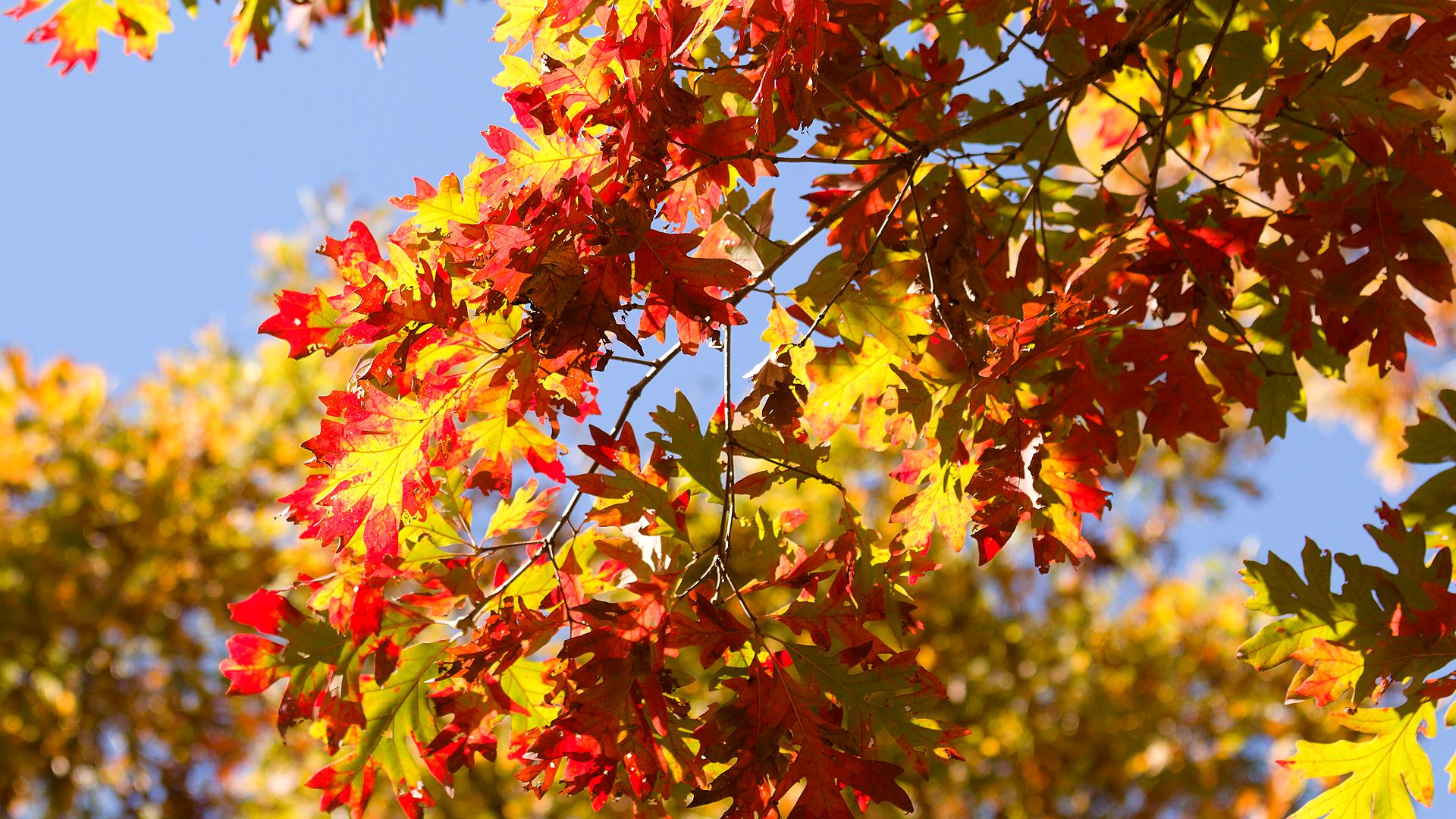 Effigy Mounds National Monument primary landscape
