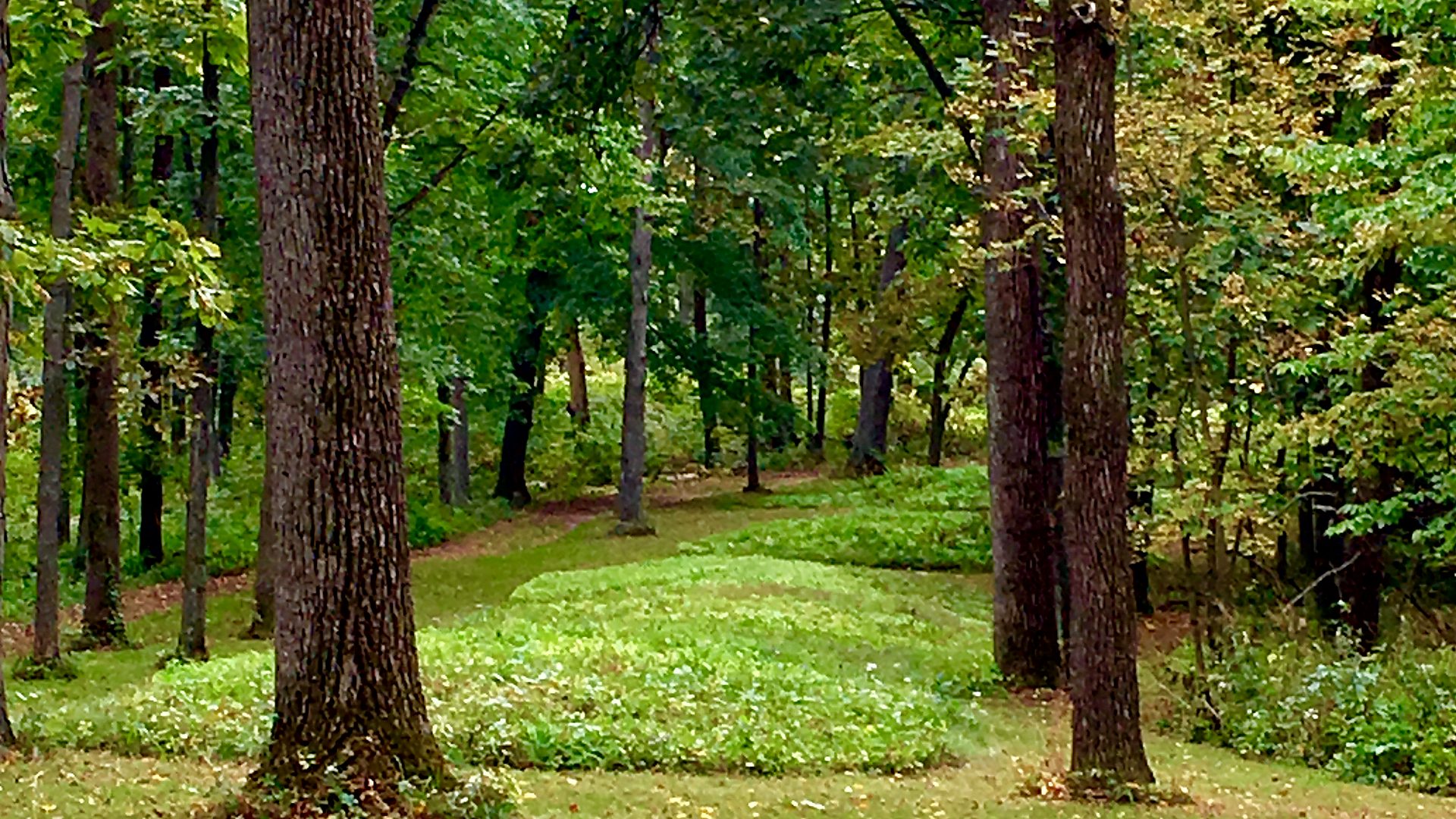 Safety context at Effigy Mounds National Monument