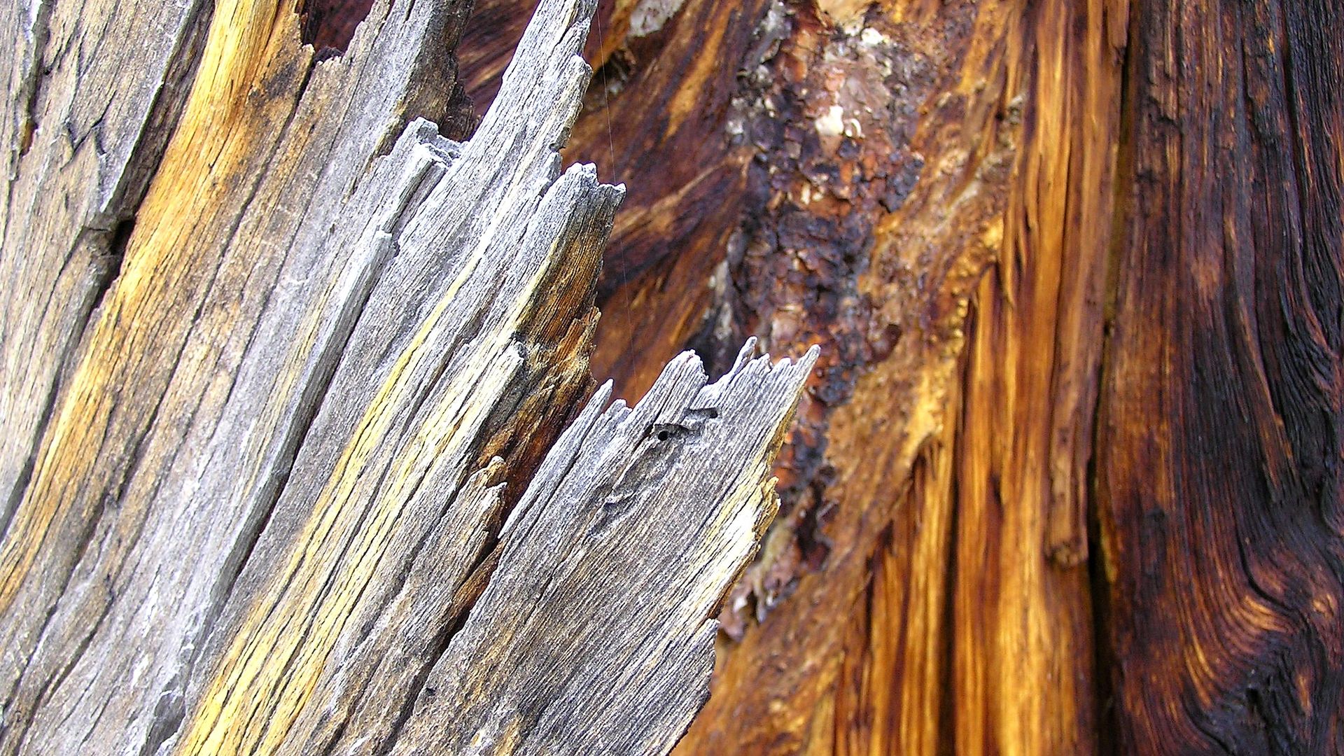 Wider setting around Florissant Fossil Beds National Monument