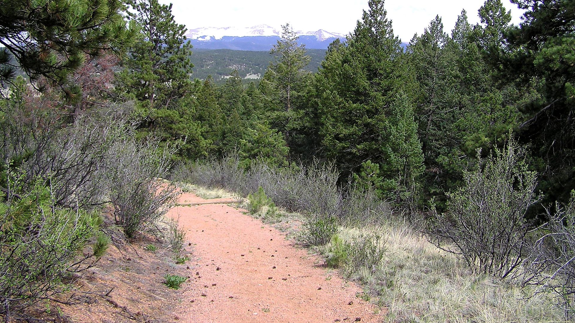Visitor conditions context at Florissant Fossil Beds National Monument