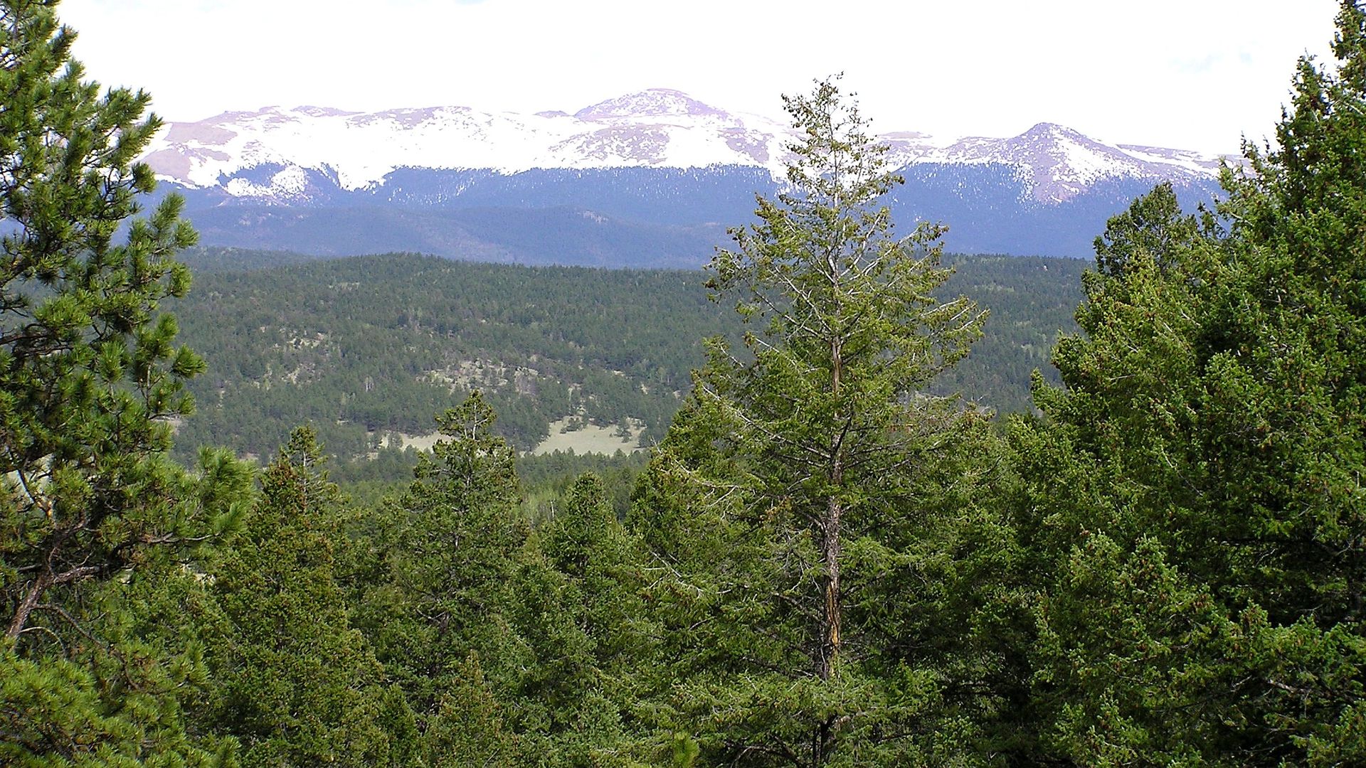 Safety context at Florissant Fossil Beds National Monument