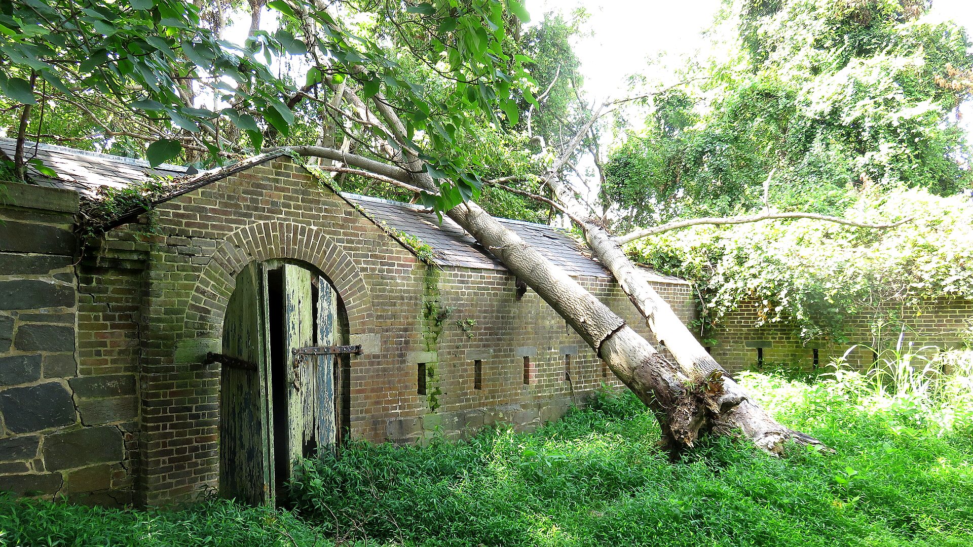 Fort Washington Park primary landscape